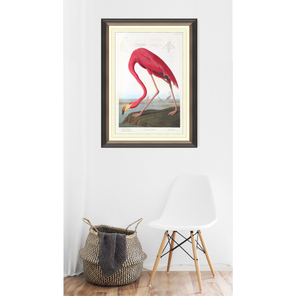 Jonh James Audubon Plate 431 American Flamingo giclée Print