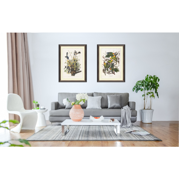 Set Audubon Birds Giclée Prints Heritage Prints Giclee Prints Heritage Prints