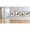 Set Audubon Birds of Prey Giclée Prints Heritage Prints