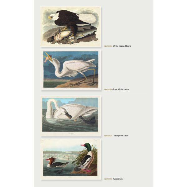 Heritage Prints Special Editon Free Folder