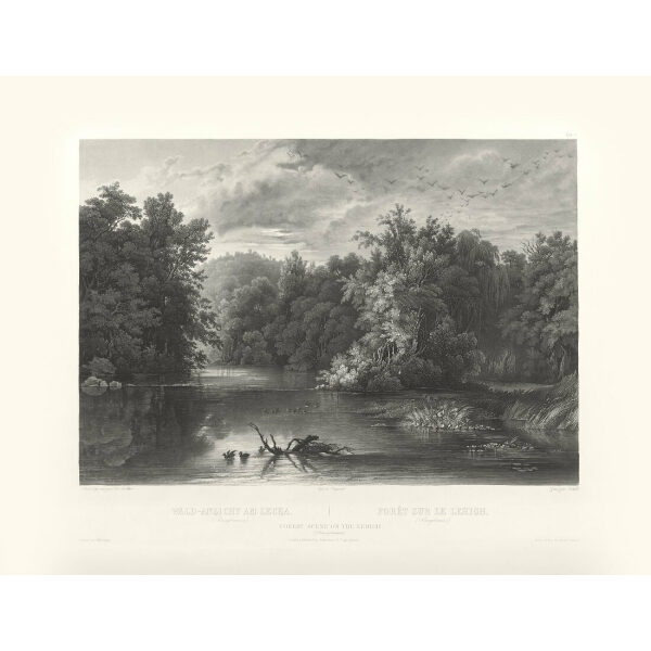 Heritage Prints Bodmer tbl 01 Forest Scene on the Lehigh