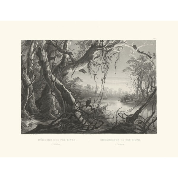 Heritage Prints Bodmer tbl 05 Mouth of the Fox-River