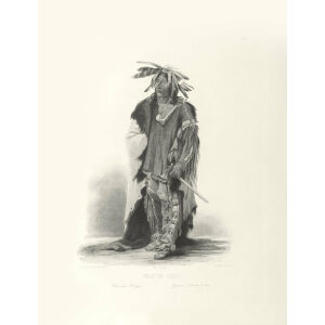 Heritage Prints Bodmer tbl 08 Wak-Tae-Geli, a Sioux Warrior