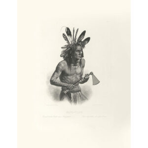 Heritage Prints Bodmer tbl 14 Mato-Tope, adorned with the Insignia of his Warlike