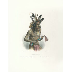 Heritage Prints Bodmer tbl 14 Mato-Tope, adorned with the Insignia of his Warlike Deeds (color)