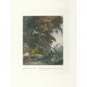Heritage Prints Bodmer tbl 30 Tombs of Assiniboin Indians on Trees (color)