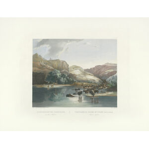 Heritage Prints Bodmer tbl 47 Herd of Bisons and Elks on the upper Missouri (color)