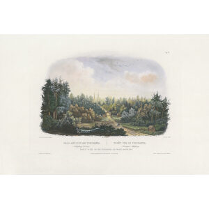 Heritage Prints Bodmer vgt 04 Forest Scene on the Tobihanna (color)
