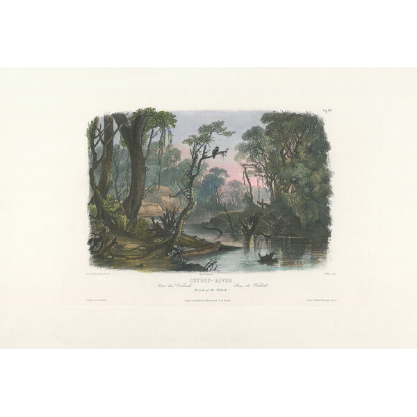 Heritage Prints Bodmer vgt 08 Cutoff River Branch of the Wabash (color)