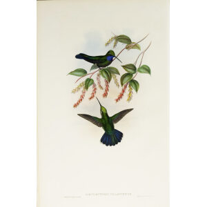 John Gould Family of Hummingbirds Volume 2 Complete set Giclee Prints by Heritage Prints