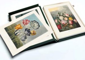Complete Set Temple of Flora in Sollander Box. Museum quality giclee prints. Heritage Prints.