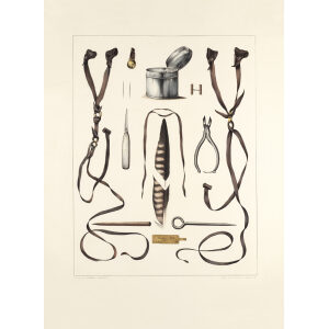 Accoutrement de Fauconnerie II, Hermann Schlegel. Traite de Fauconnerie. Giclee Print