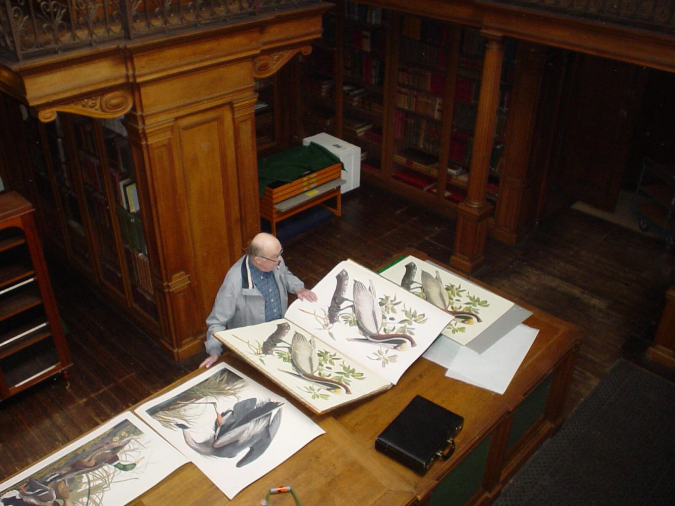Gies in Teylers Audubon Heritage Prints. Founder Gies Pluim in Teylers Museum
