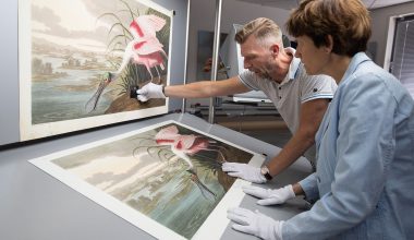 The proofing fase of creating a facsimily Heritage Prints Re-Art The proofing fase of creating a facsimily Heritage Prints Re-Art