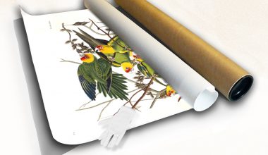 packing the giclee print in a tube packing the giclee print in a tube Heritage Prints